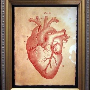 Vintage Medical Anatomy Heart Print Tea Stained